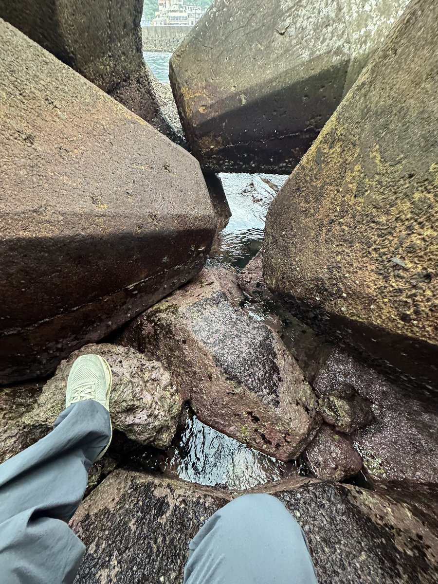 山东夫人 tweet media