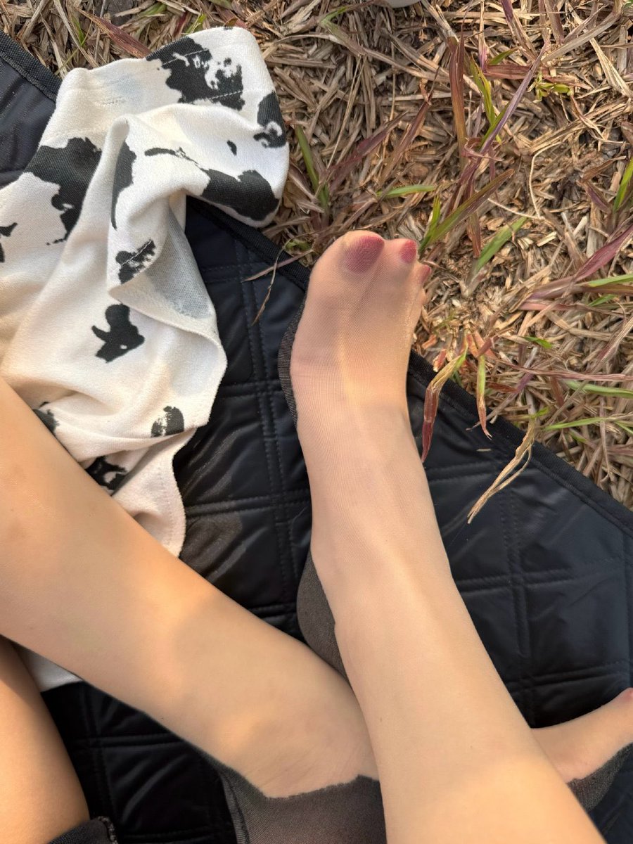 山东夫人 tweet media