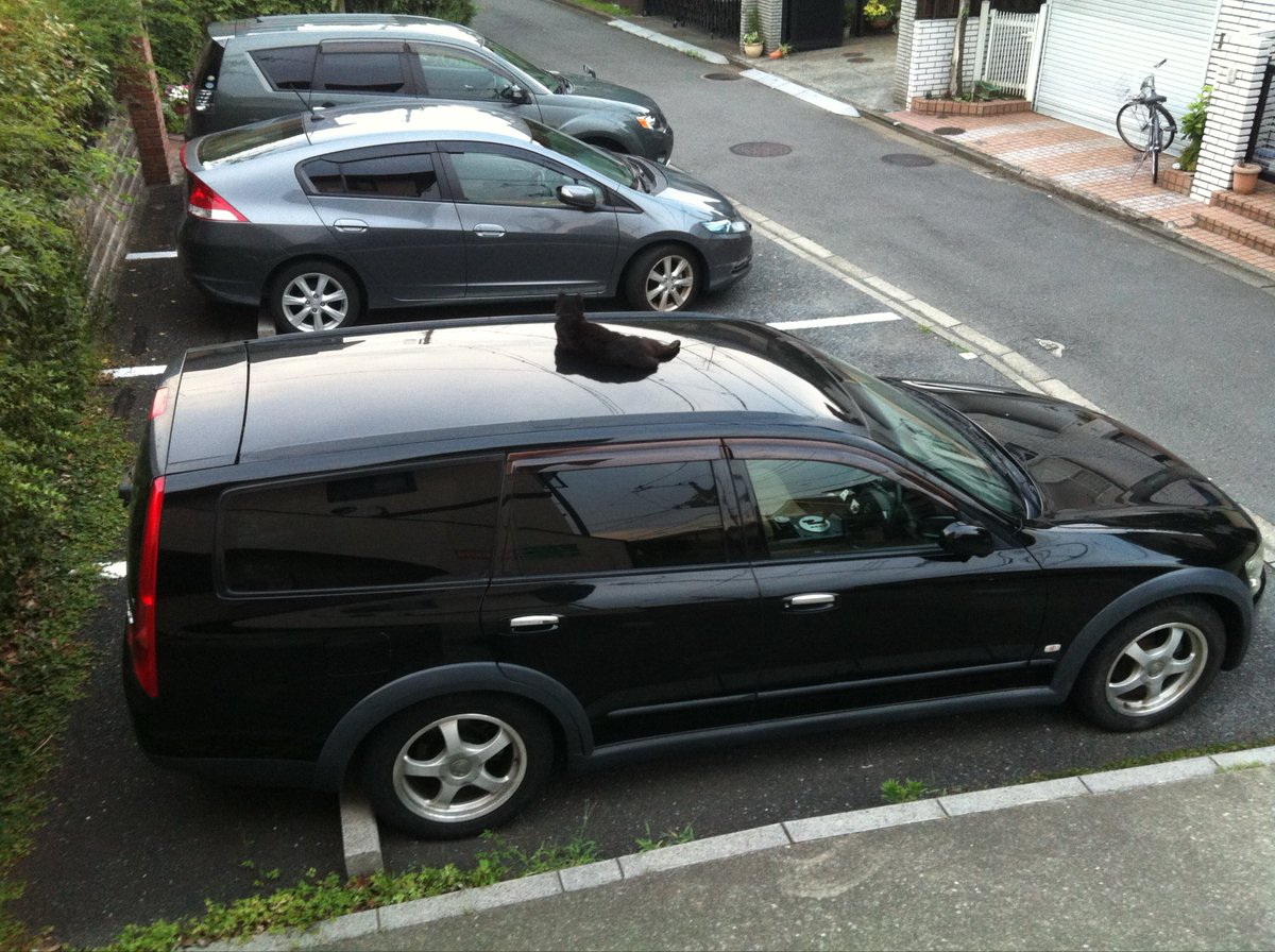 getzmw's tweet photo. @trucknakanohito 写真は2012年　山走るのには少しでかいけど、シートも座りやすくて乗りやすいし気に入っていた
日産また製造しないかな https://t.co/dPLVOW0J6C