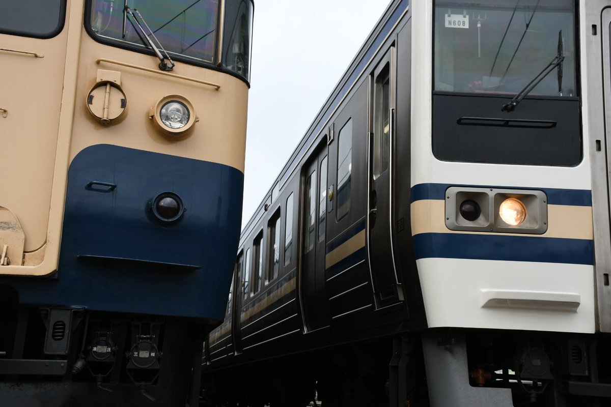 マリとりっぷ日記 tweet media