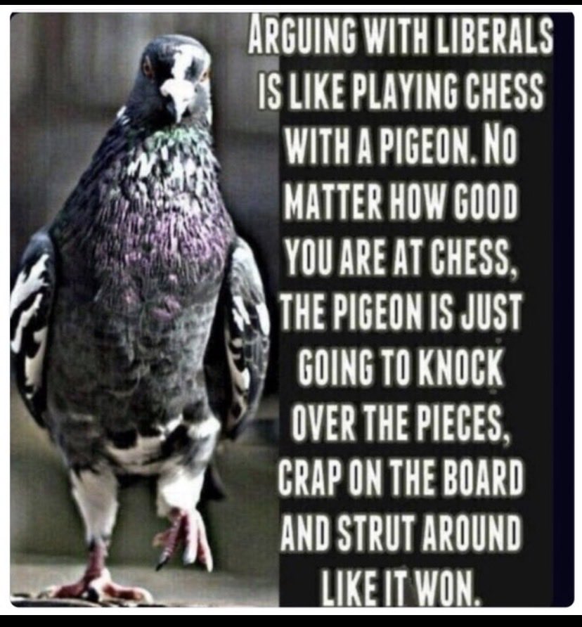 Zack ✡️🇺🇸🇮🇱 tweet media