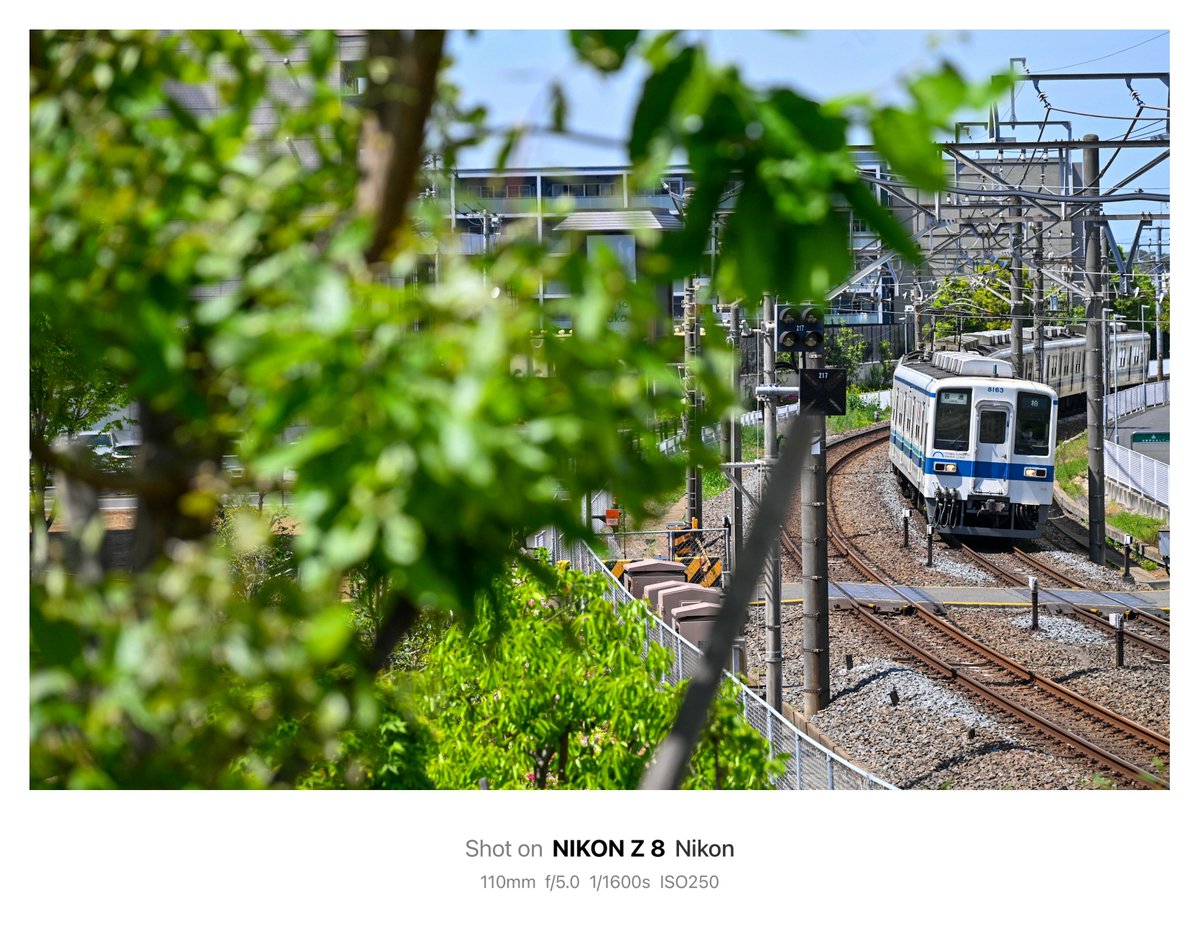 駒ノ木(仮乗降場) tweet media