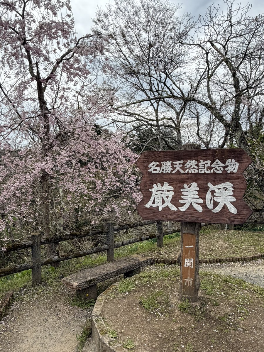 Eight_Castle_'s tweet photo. 厳美渓に桜見に行った https://t.co/m5zxQIp3R7