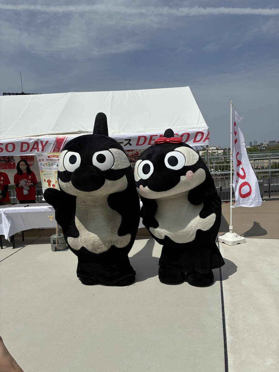 しゃっちー🍓 tweet media