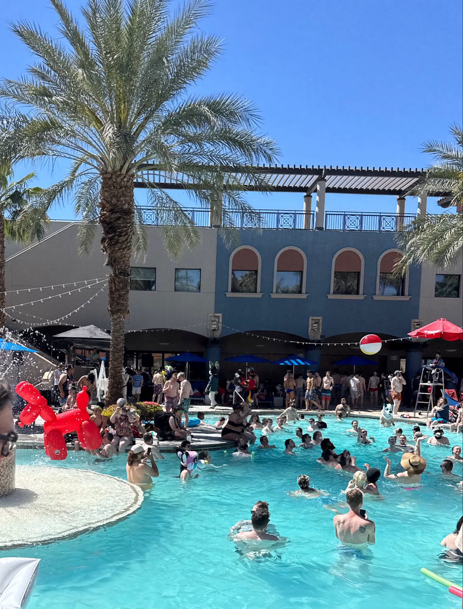 Splat Fennec 🔜 FWA tweet media