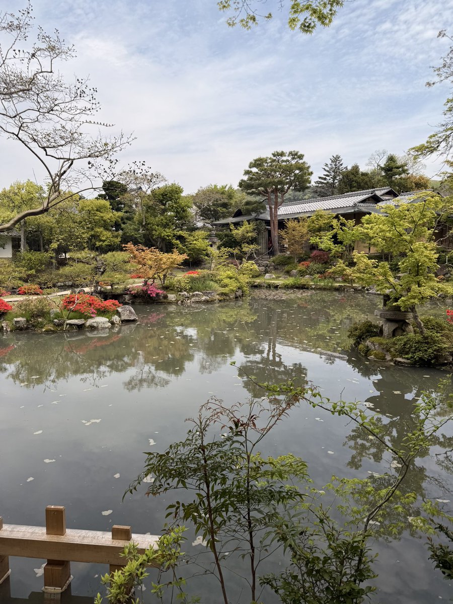 2k_Swif's tweet photo. Day 2 
Japan - 🇯🇵 
Location - Osaka (Nara)
#japan #traveljapan #Explorejapan #Nara https://t.co/Zl0ldvyzP6