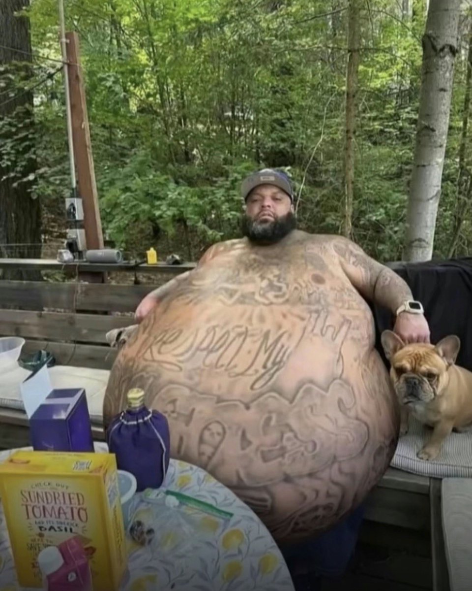 🐝 Bee 🐝 tweet media