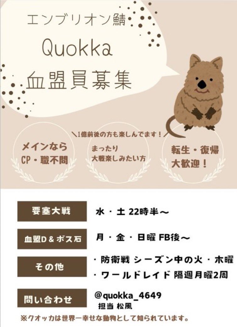 Quokka公式 tweet media