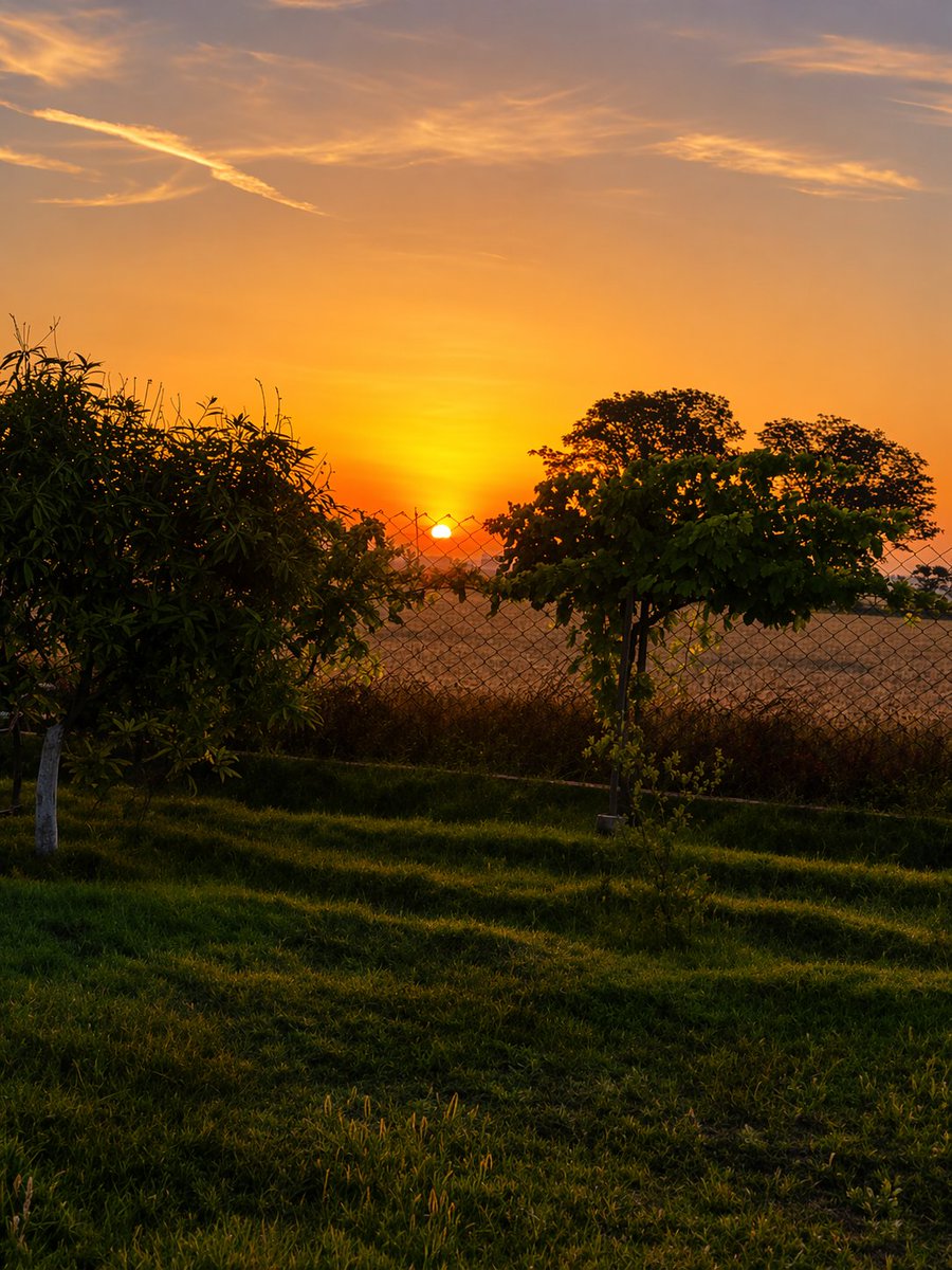 HansaliFarm's tweet photo. In the stillness of the farm, a new day finds its way gently.
#sunrise #farmlife #punjab #farmtourism #incredibleindia #agritourism #backtoroots #punjabdiaries #villagelife #farmstay #fatehgarhsahib #punjabtourism #farmstead #agritourism #hansaliorganicfarm https://t.co/CwiDjLQIKV