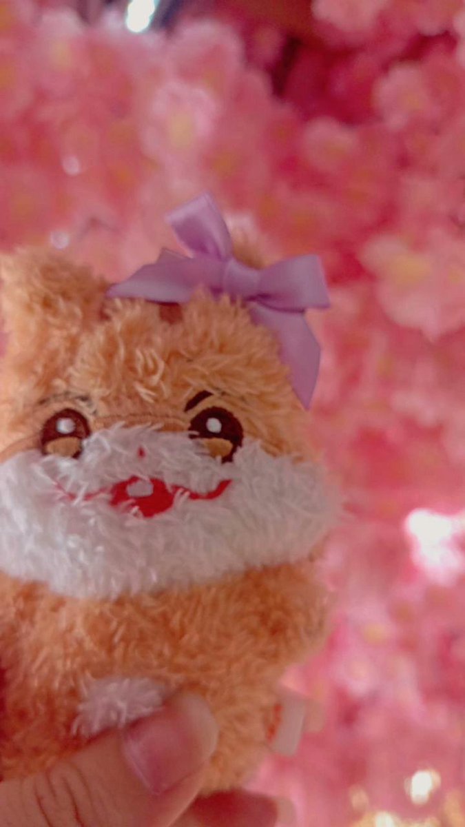 minoon_le💜✨ tweet media