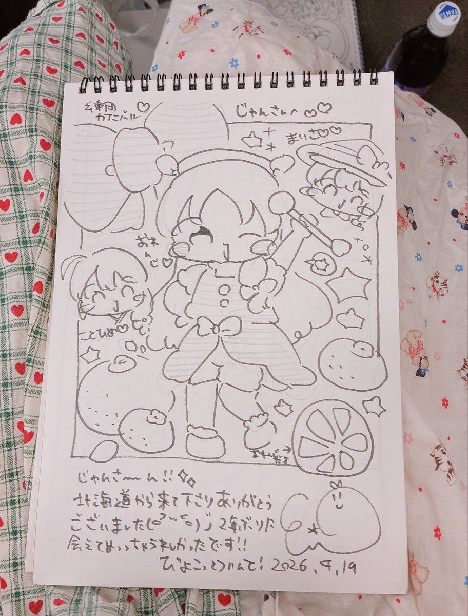 スケブ4冊でぎしま！🌟
#幺樂団カァニバル