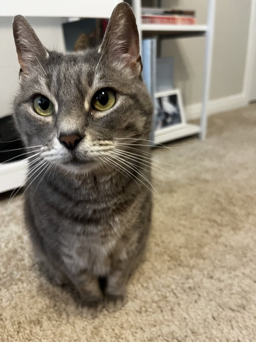 dani ❨･¨⬮ tweet media