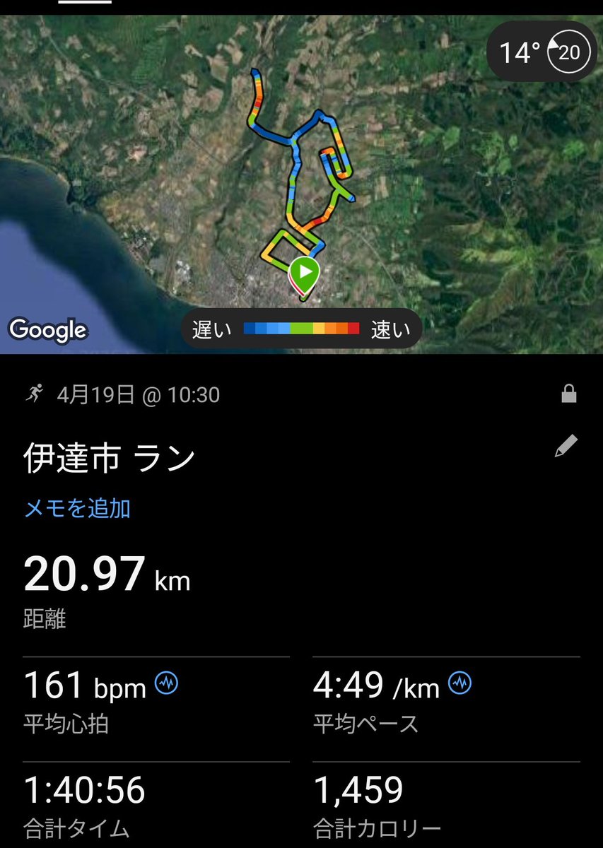 しゃも tweet media