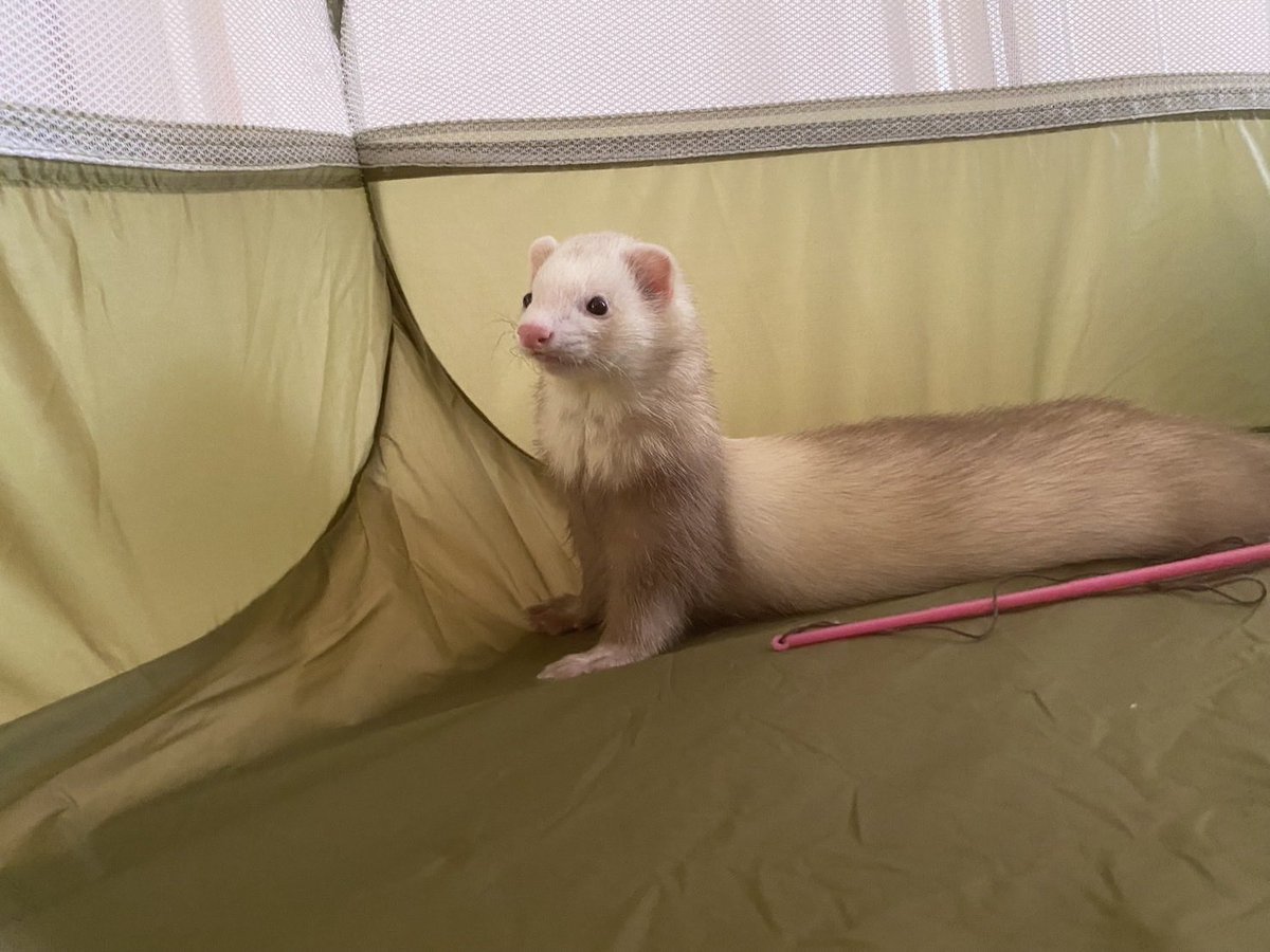 もっちー tweet media