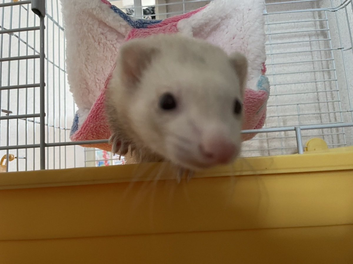 もっちー tweet media