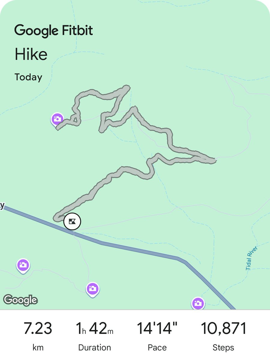 charlesallen15's tweet image. #fitbit #endorphins #Melbourne2026 🏞️🇦🇺🏐❤️😁