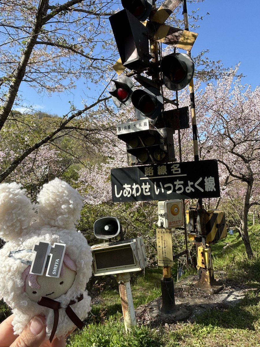 たなちこ tweet media