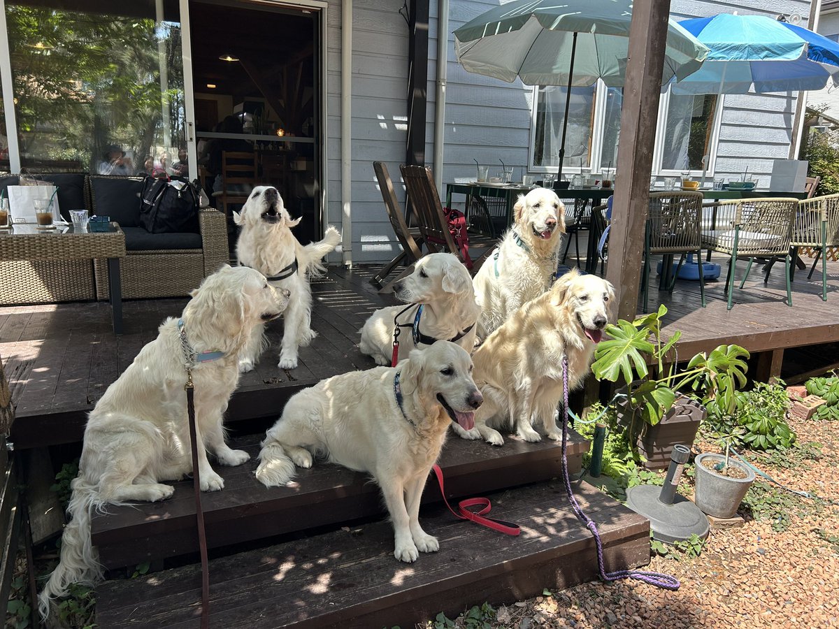 今日は犬の会！
ファミリーの絆ってすごいね