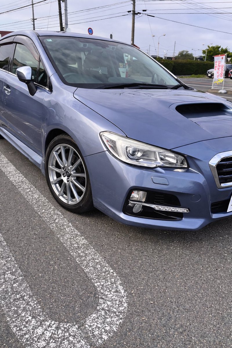 オットセイセイ tweet media