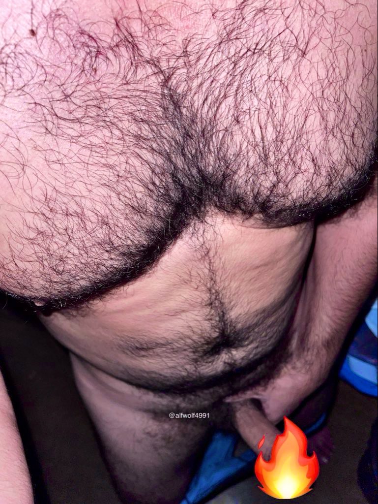 AlfWolfXXX 🐺 tweet media