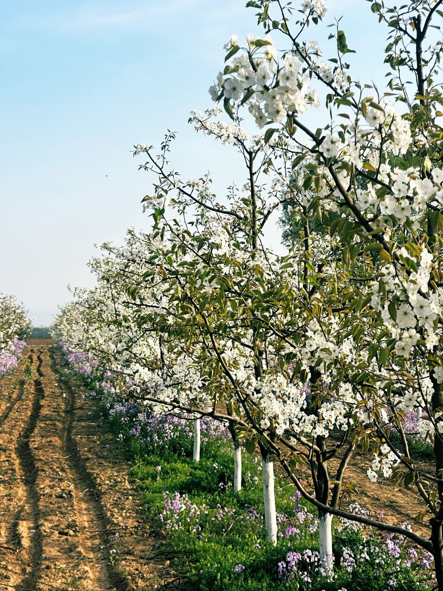 David Andrew（🇨🇳✨ Urban Life Noticer 👀📸） tweet media