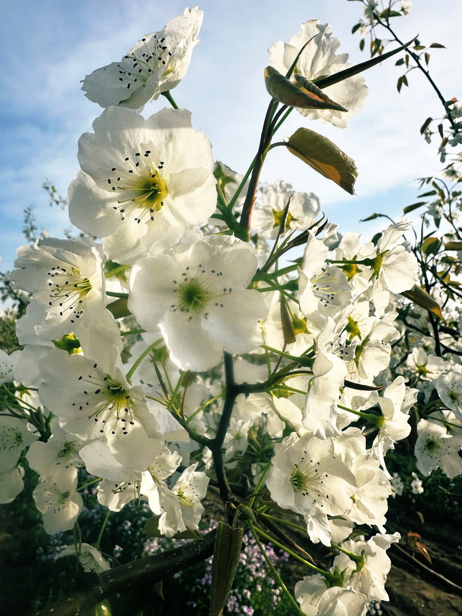 David Andrew（🇨🇳✨ Urban Life Noticer 👀📸） tweet media