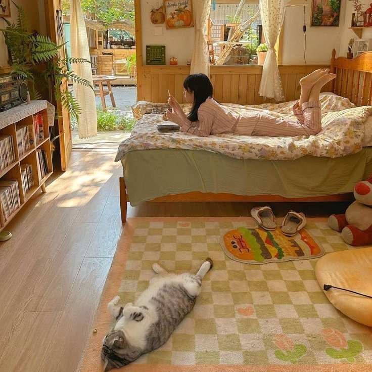 iamaafairy's tweet photo. ✦ an interactive thread / poll ✦

a whole day at home is actually full of tiny decisions that shape your mood 🏠 https://t.co/xuC4A6HCK1
