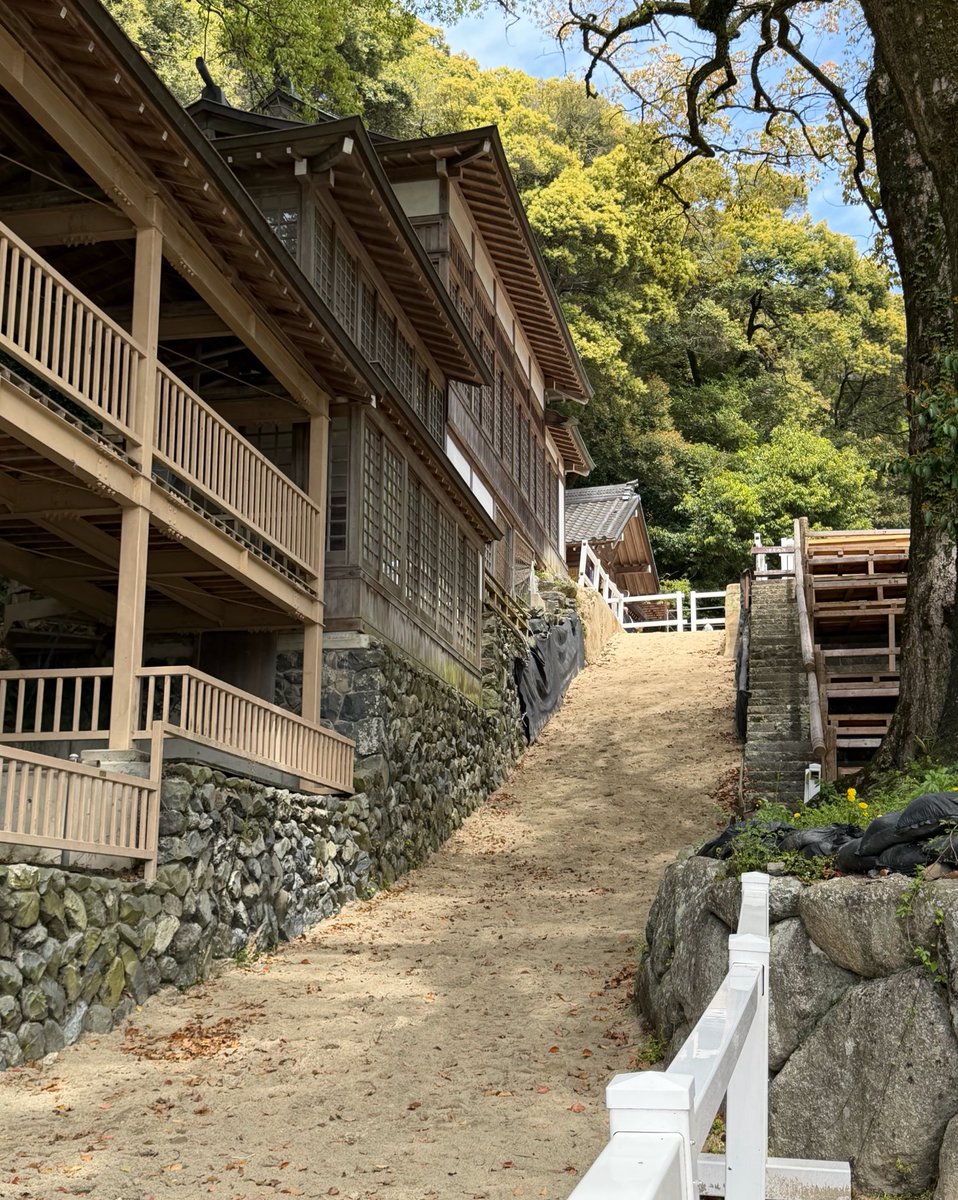 ぱでぃんとん tweet media