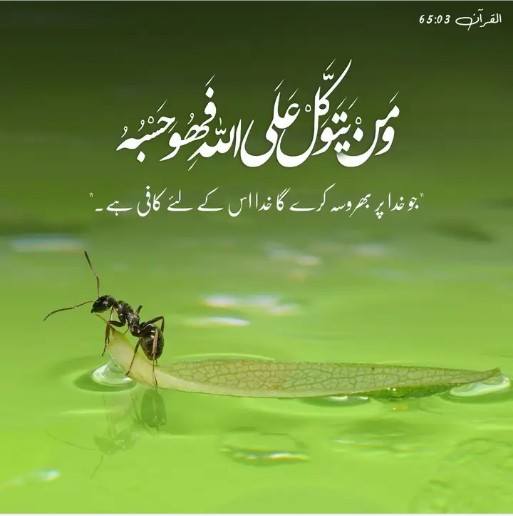 *آنسو خالق اور مخلوق کے درمیان کوئی پردہ نہیں رہنے دیتے،
ندامت سے بھری پیشانی اور نم آنکھیں جب رب کریم کے حضور  سجدہ ریز ھوں تو گناہوں کی معافی یقینی ھے*

*اگر کوئی آپ سے مدد مانگے تو ضرور مدد کیجئے ہو سکتا ہے وہ پہلے رب کے در پر گیا ہو اور رب نے ہی اسے آپ کی طرف بھیجا ہو.*