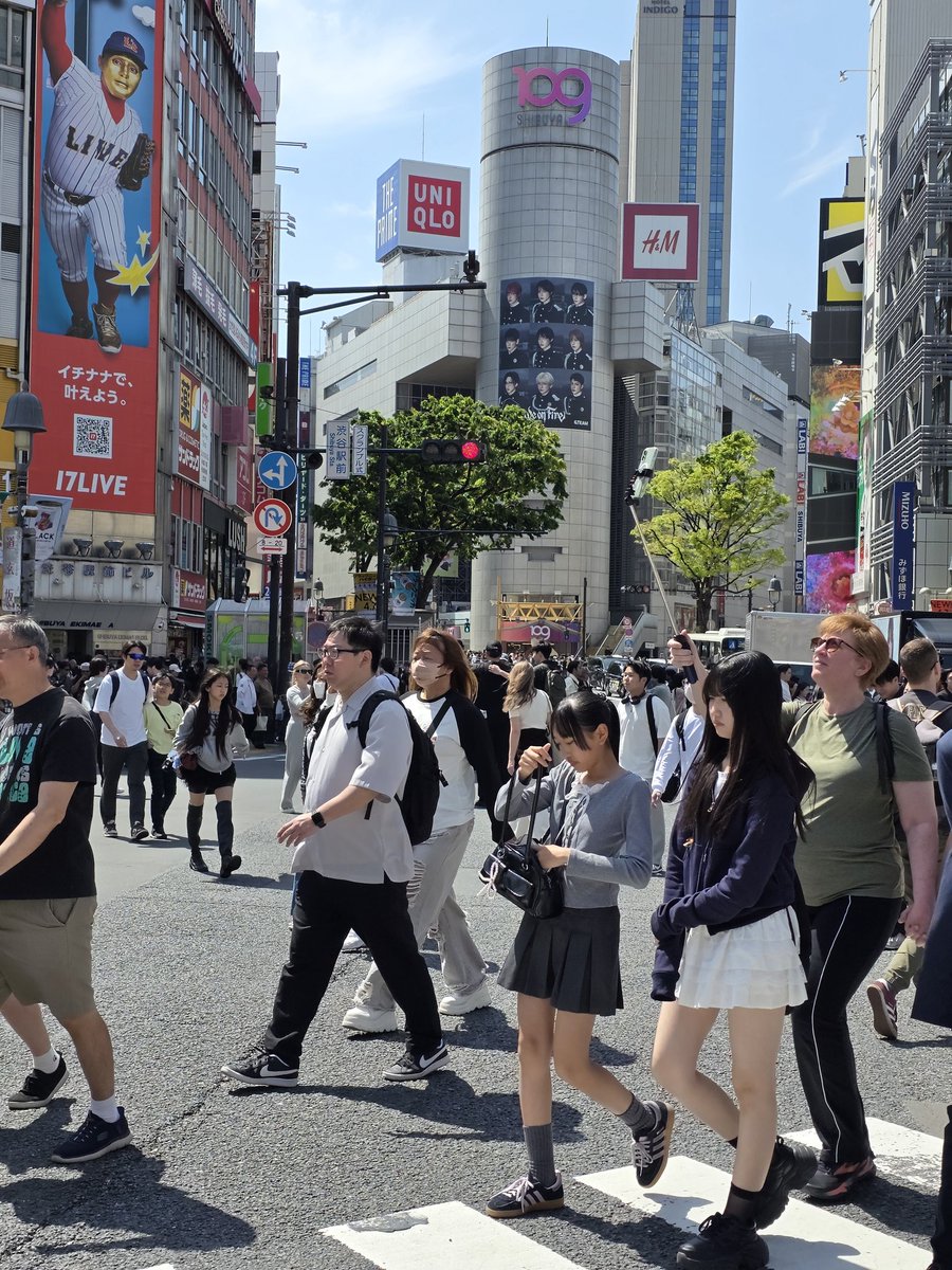 文月（あやつき）ロエン / 👺⚙ tweet media