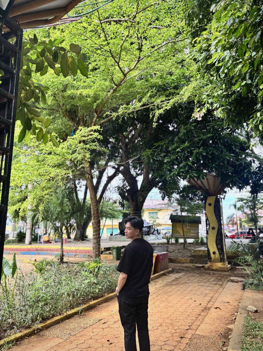 flight bumblebee tweet media