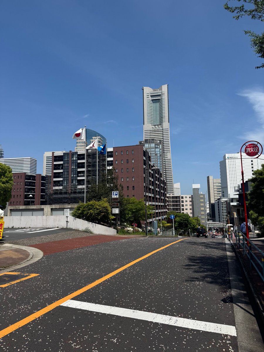 横浜桜木町の伊勢山界隈
はじめてきましたが、ここは眺めといい、地盤といい、街の賑わいと文化施設といい、整った場所ですね〜✨
伊勢山皇大神宮もあって良い気が流れてるし😊