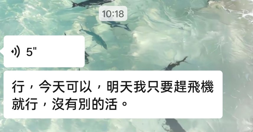 天使用户0919 tweet media