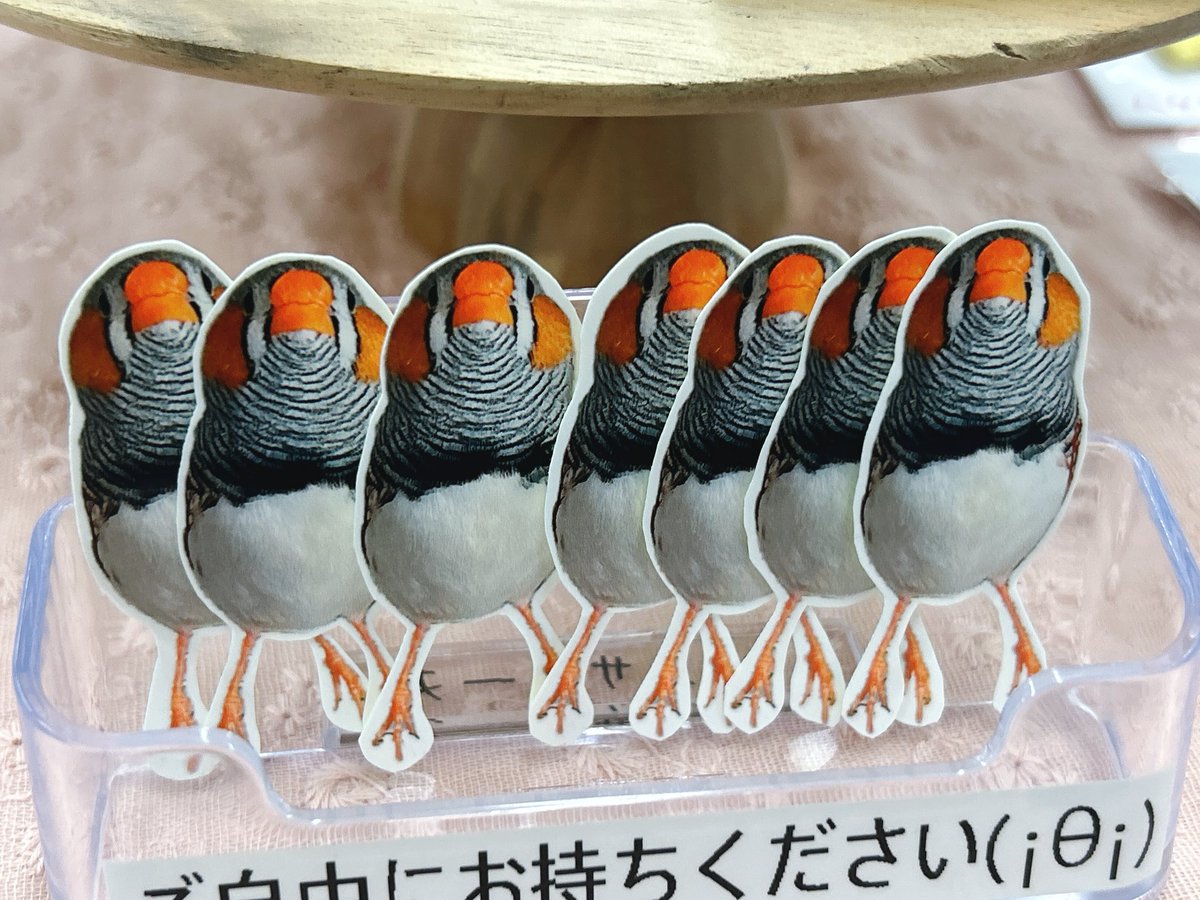 ハクサイーヌ（固定）@レタスの飼い主 tweet media