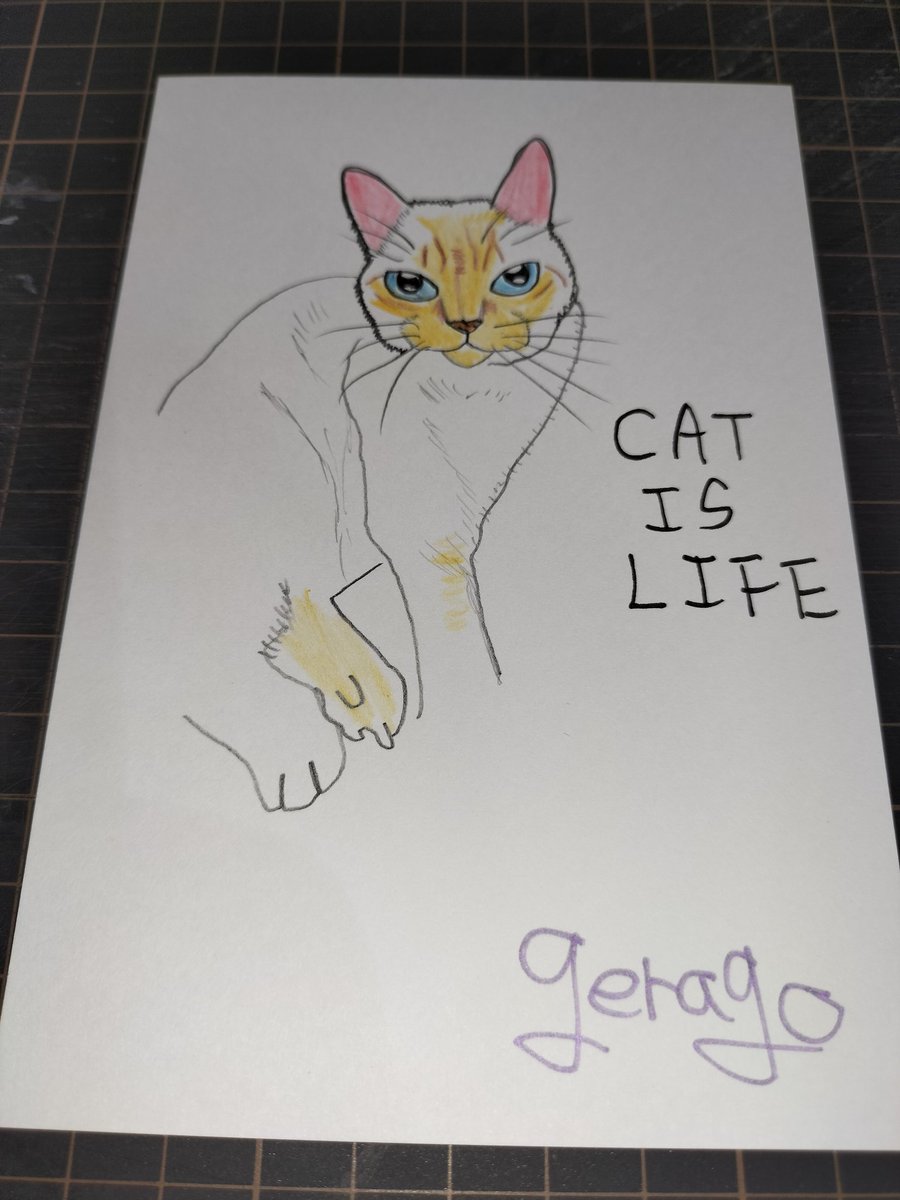 パンゲラゴ山 tweet media