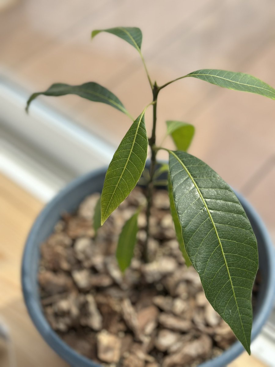 粕井 健次｜連続起業家（SAKURAISEグループHD代表） tweet media