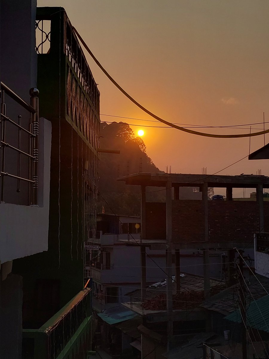 Nature Lover tweet media