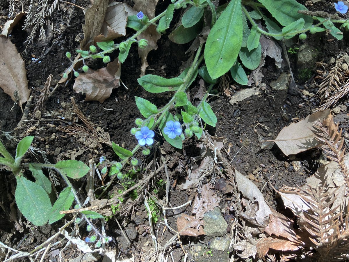 おやつカンパニーLIMITED tweet media