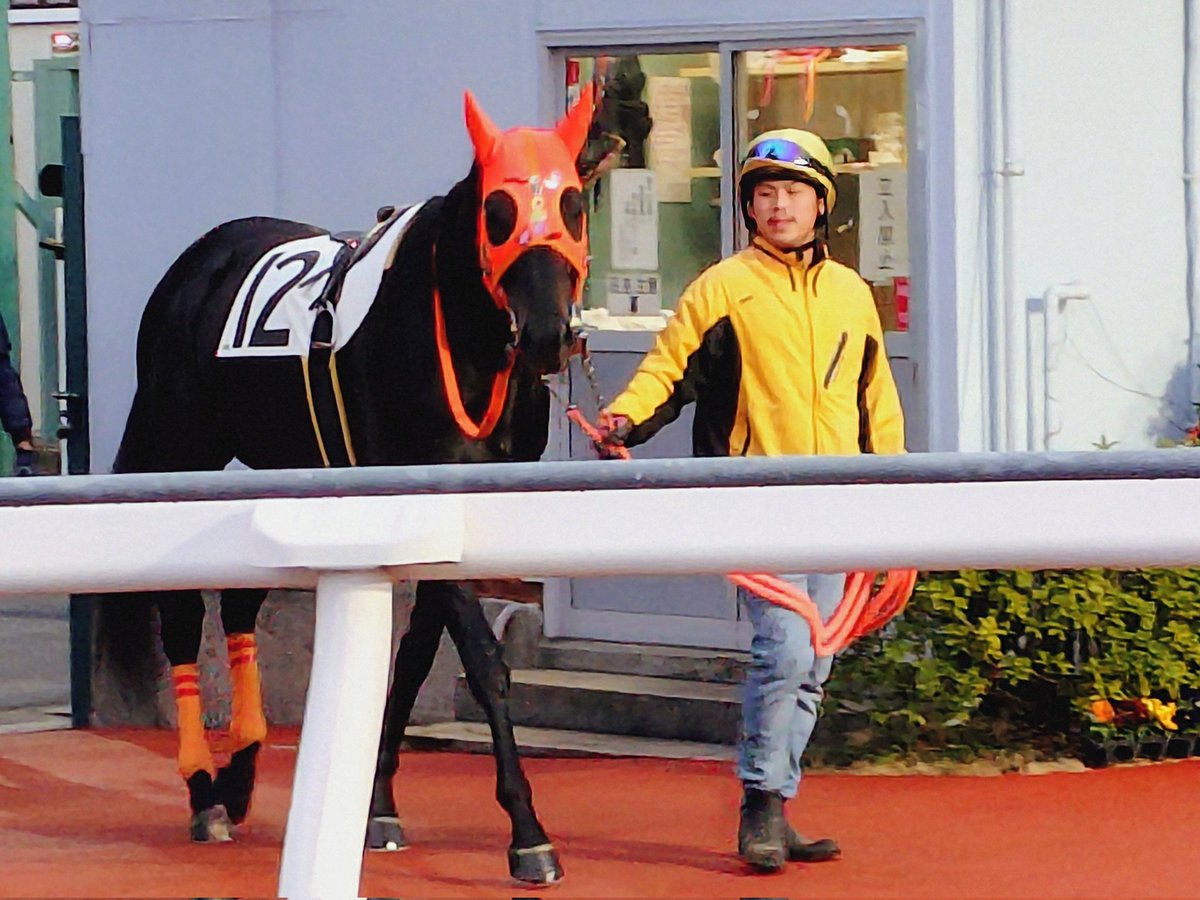 ゆさとみ tweet media