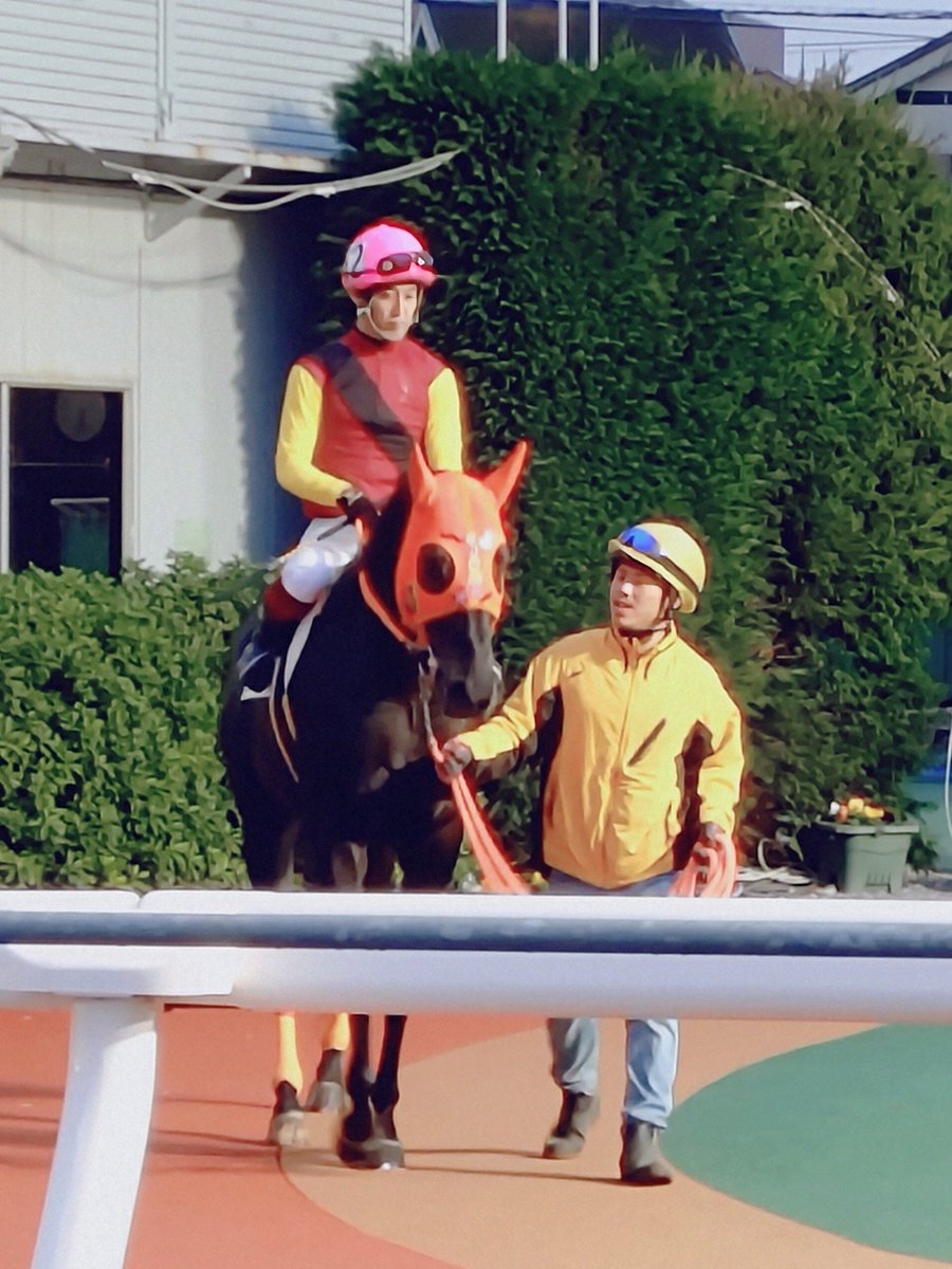 ゆさとみ tweet media