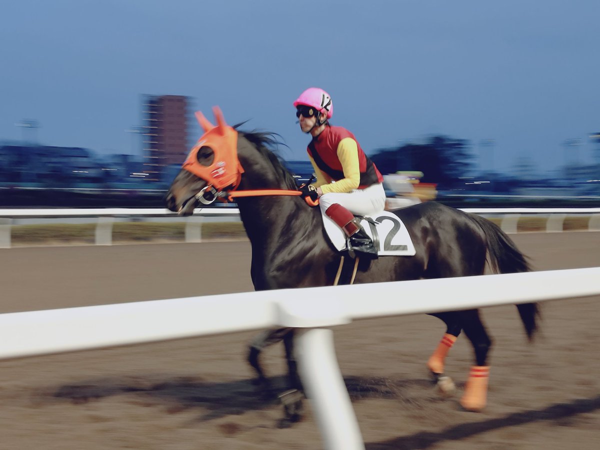 ゆさとみ tweet media