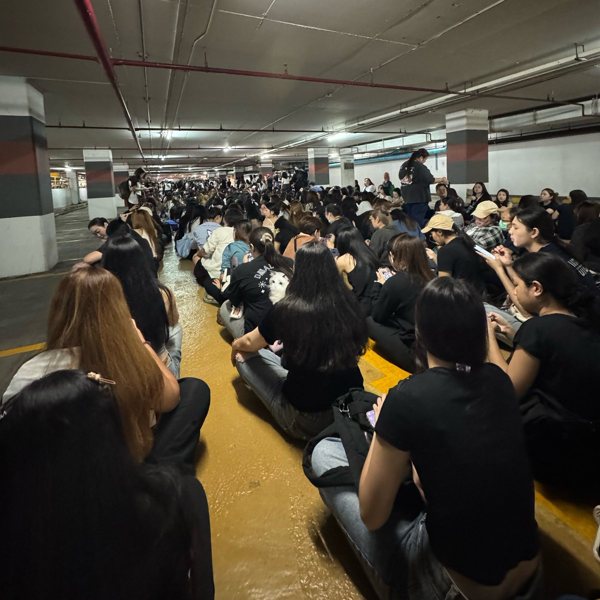 ✨ม๋าเด็กของพี่สาวคนจ๋วย🐶✨ tweet media