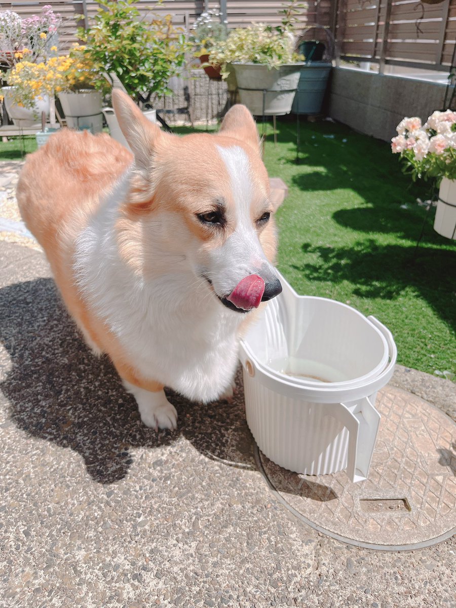rupikundayo's tweet photo. いいお天気 https://t.co/peywJNH5Gn