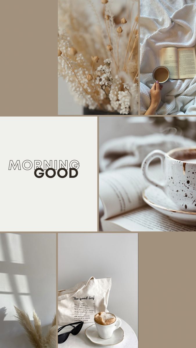 Şulenur tweet media