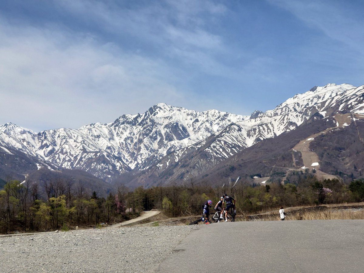 あおてん⛩ tweet media