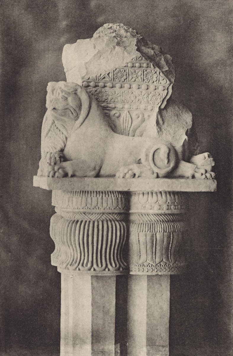 Kshatrap (𑀔𑀢𑀧) tweet media