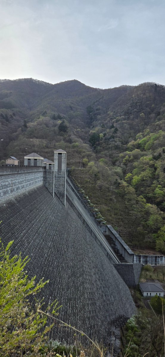 ヘイちゃん tweet media