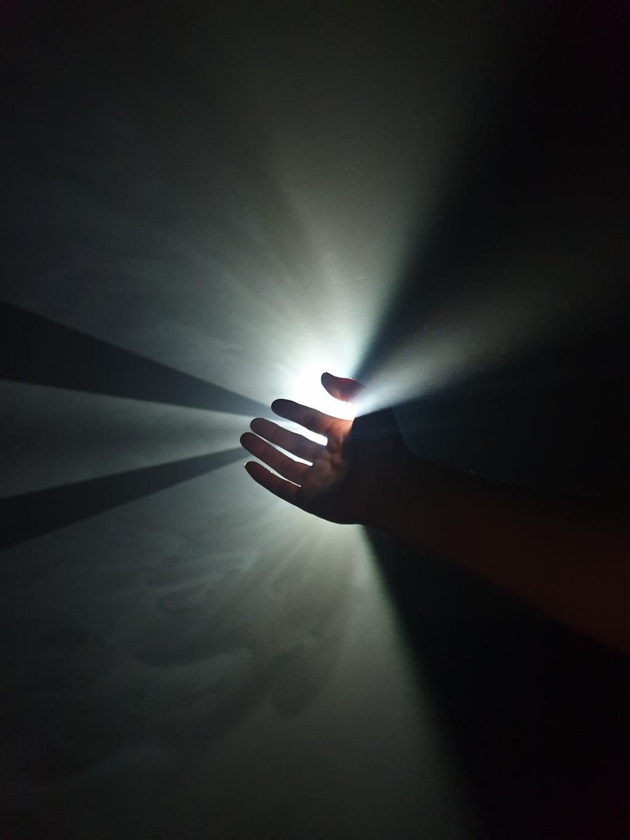 Vladimir Maglena tweet media