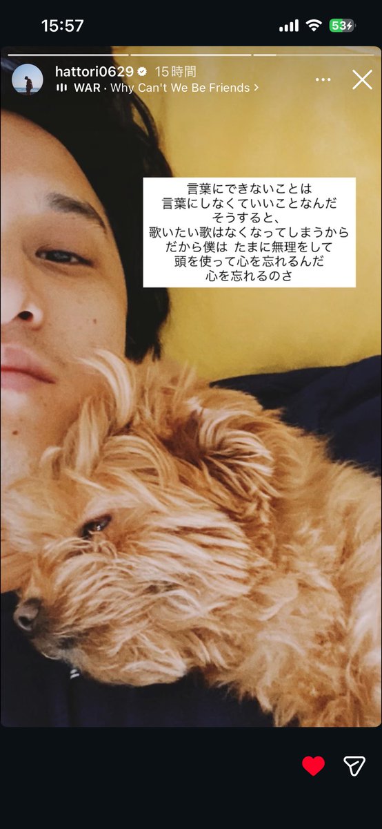 purplerain_66's tweet photo. まっっじではっとりさんイケメンすぎて恋なんですけど？？？？？？？？ https://t.co/Mehj0F9iKj