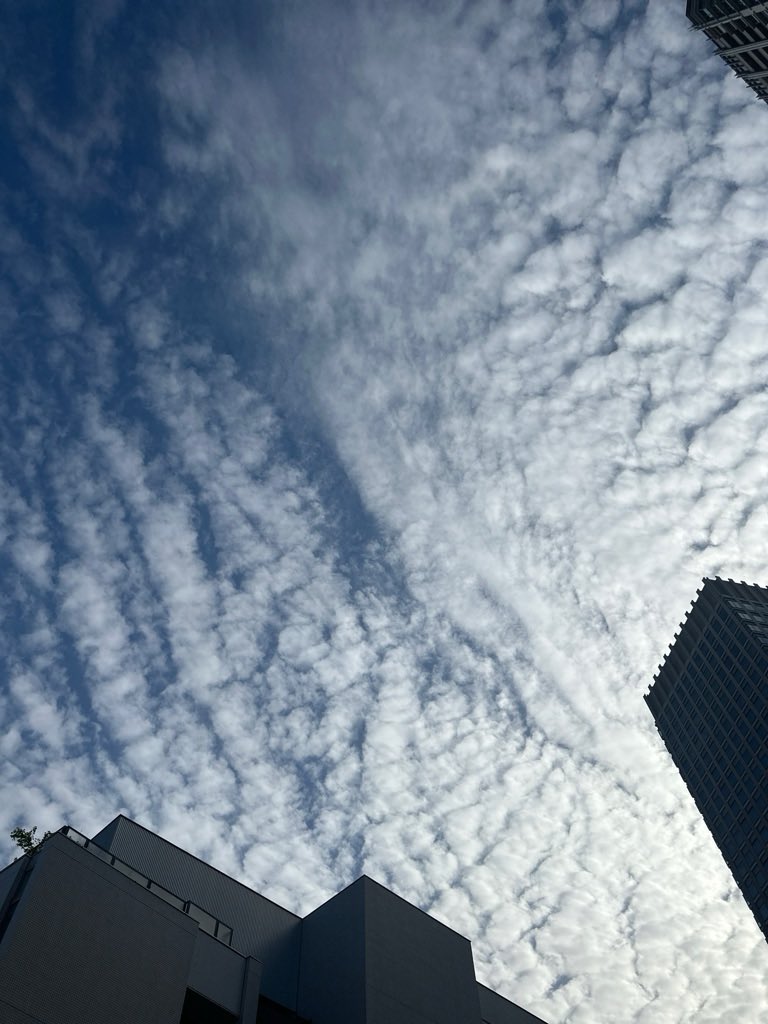 taka_aki's tweet photo. 巻積雲(Cc)を発見! ⛅
「巻積雲(Cc)の観察」
#CloudWatcher #巻積雲 #雲観察 https://t.co/alvMDK5f2F